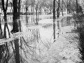 Spring 1949 View from 903 2nd Avenue NW  looking east northeast toward 8th Street NW