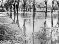 Spring 1949 View from 903 2nd Avenue NW looking west northwest toward 9th Street NW